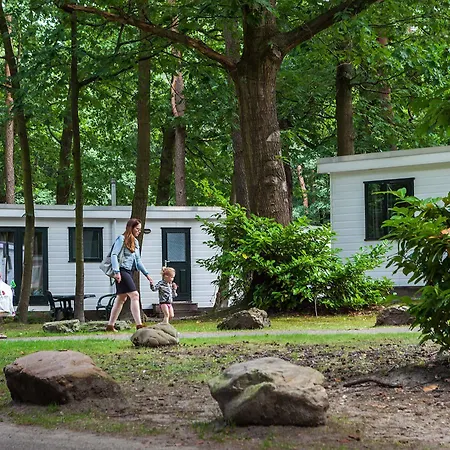 منتجع Oostappen Vakantiepark Hengelhoef Nv 3*